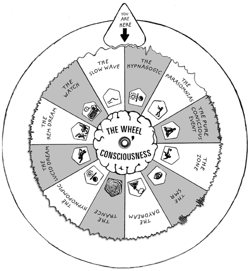 The Wheel of Consciousness